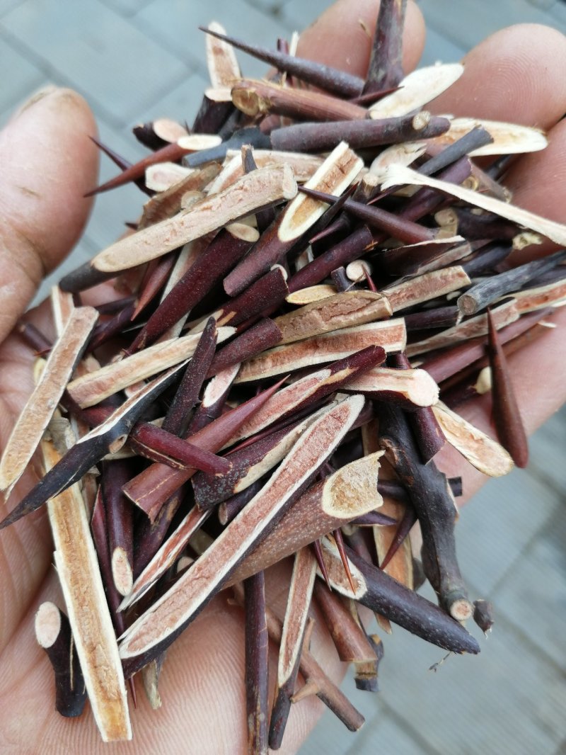 皂刺野皂角刺天丁皂角刺