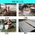 优质野生葛根粉可免费取样拒绝掺假售假另出售种植葛根粉
