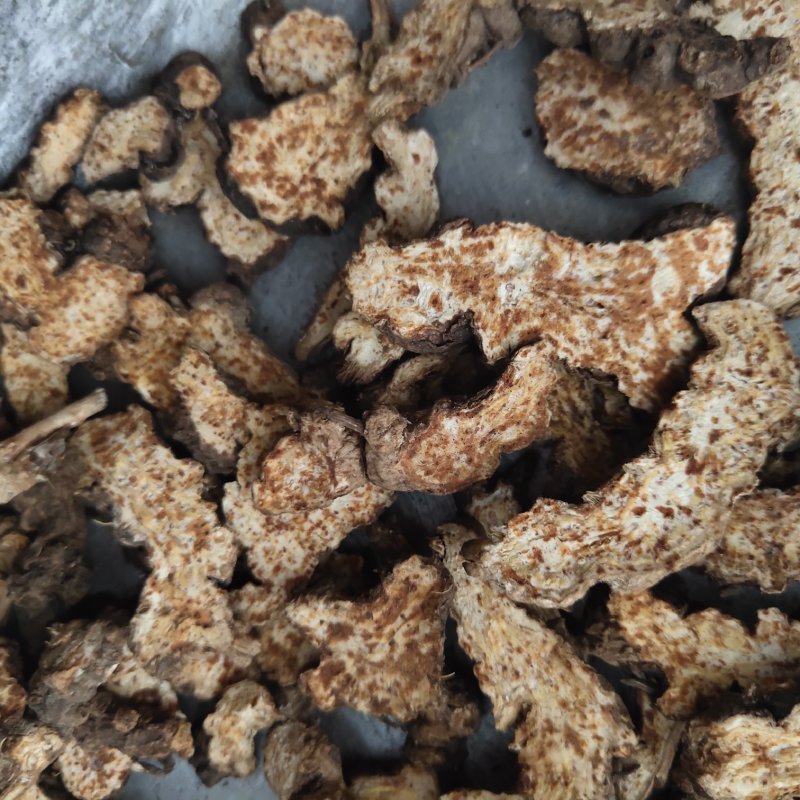苍术朱砂点苍术选1000g起批关书药业