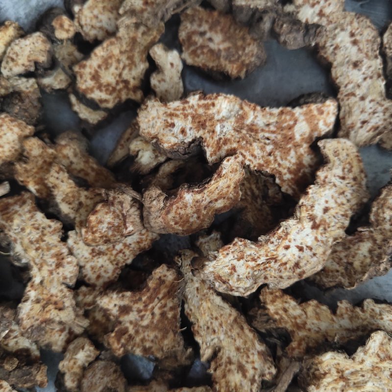 苍术朱砂点苍术选1000g起批关书药业