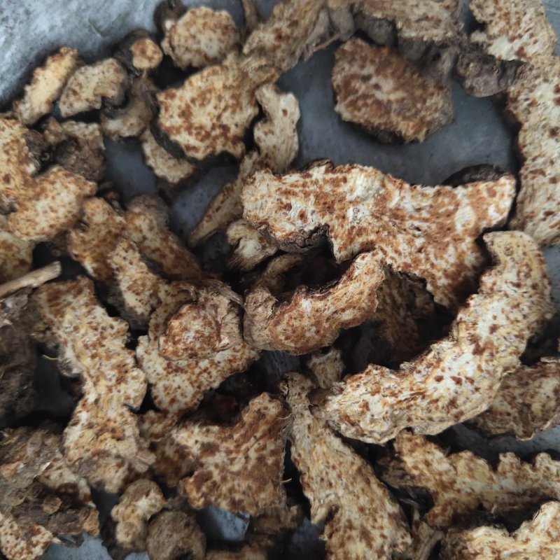 苍术朱砂点苍术选1000g起批关书药业