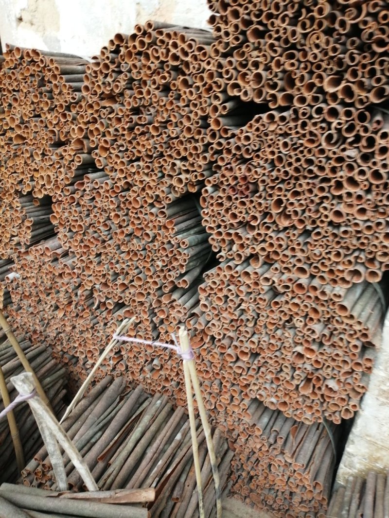 中小通桂皮足干定装40kg一件产地直销