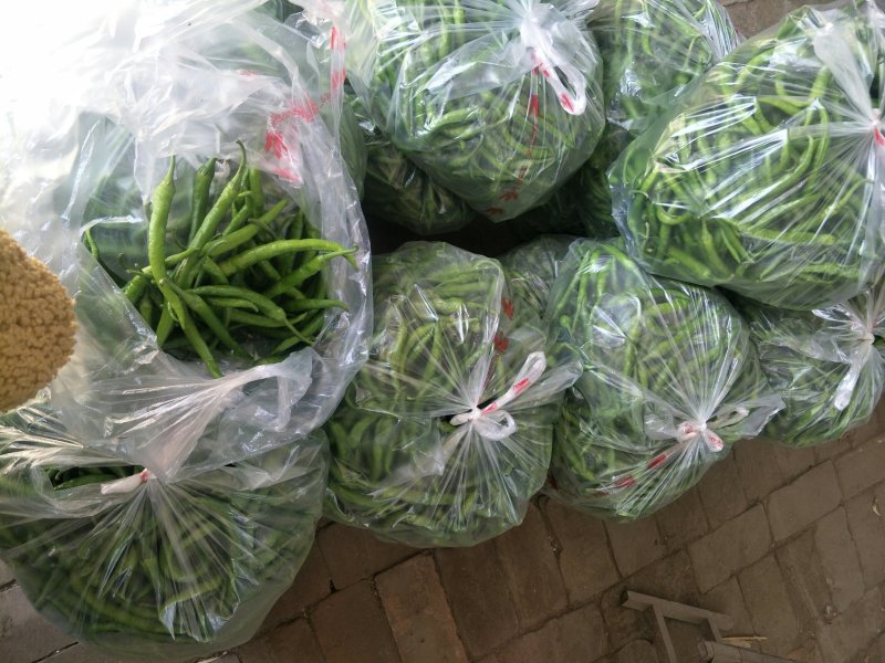鲜辣椒质量好，量大