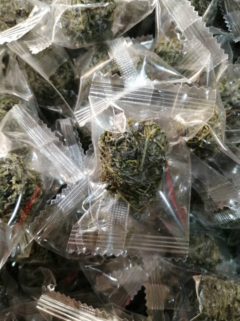 龙珠绞股蓝绞股蓝批发零售