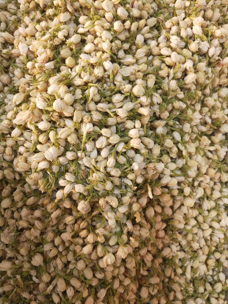 茉莉花茶干花500g