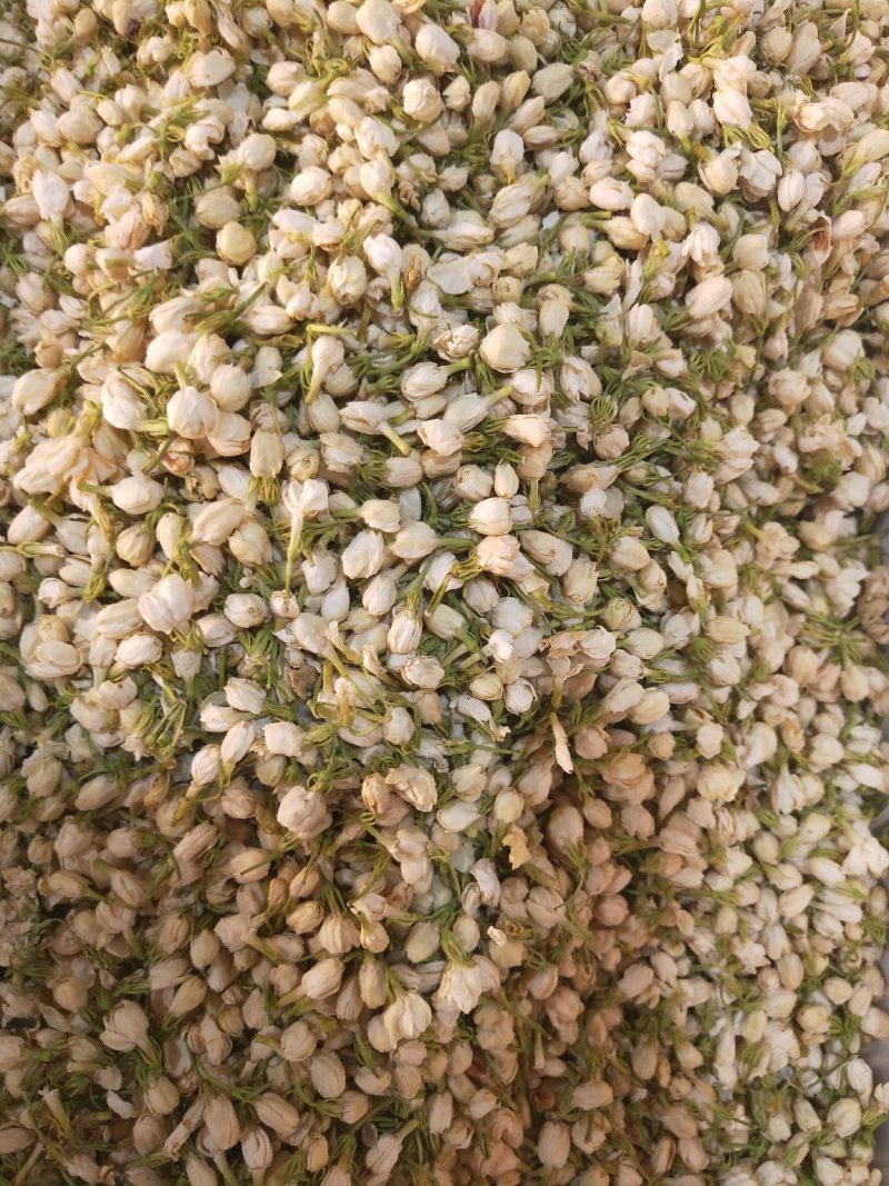茉莉花茶干花500g