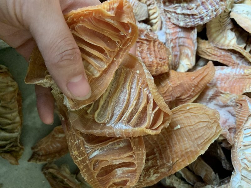 笋干干货特级笋尖笋片玉兰片烤房全干货江西毛竹无盐笋干