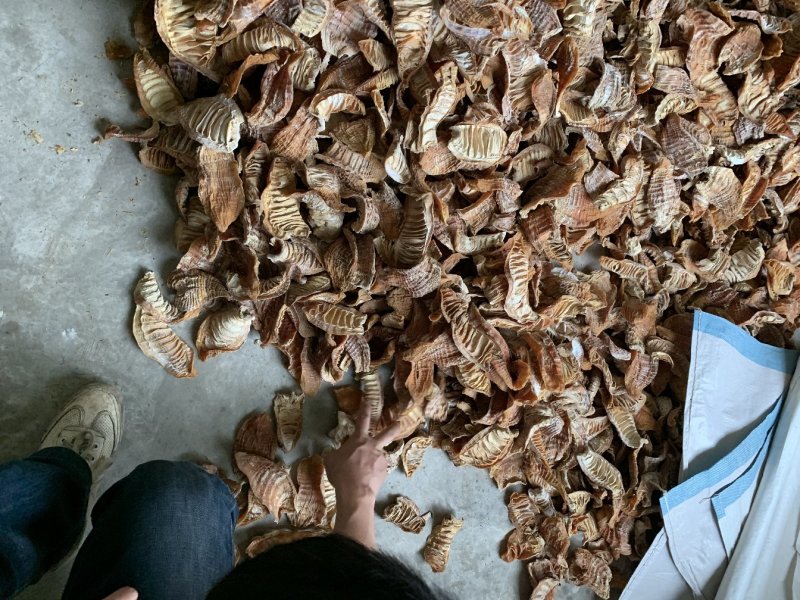 笋干干货特级笋尖笋片玉兰片烤房全干货江西毛竹无盐笋干