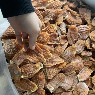 笋干干货特级笋尖笋片玉兰片烤房全干货江西毛竹无盐笋干
