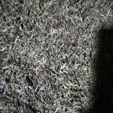 富硒茶叶