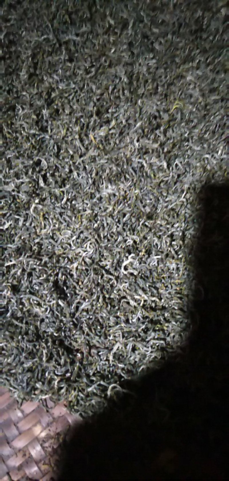 富硒毛尖茶叶