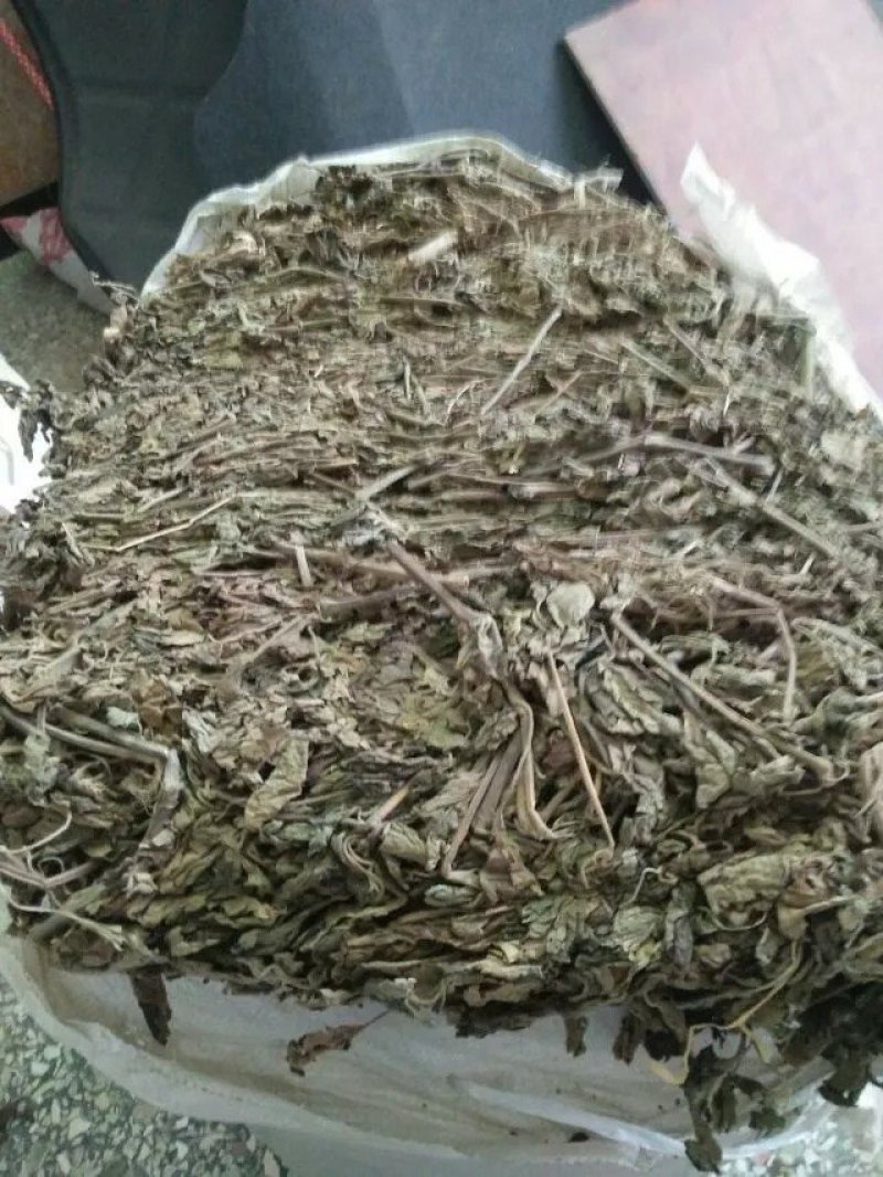 广藿香统个，饮片