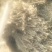 广藿香统个，饮片