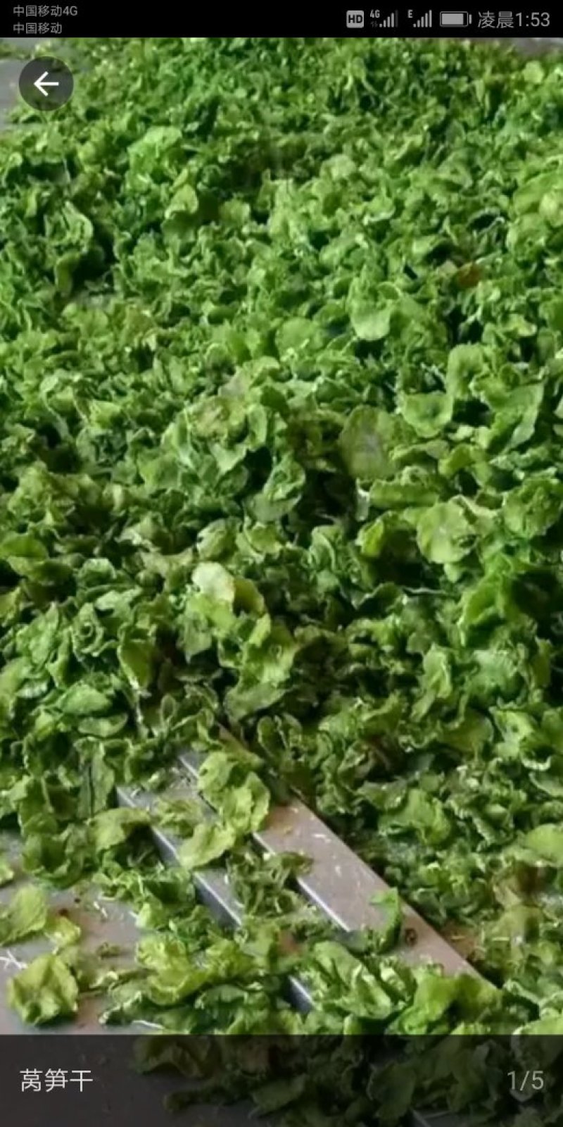 莴笋干产地直销，质量有保证，希望各位老板关注。