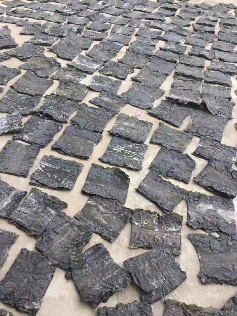 精装海带深海区海带海带丝海带头