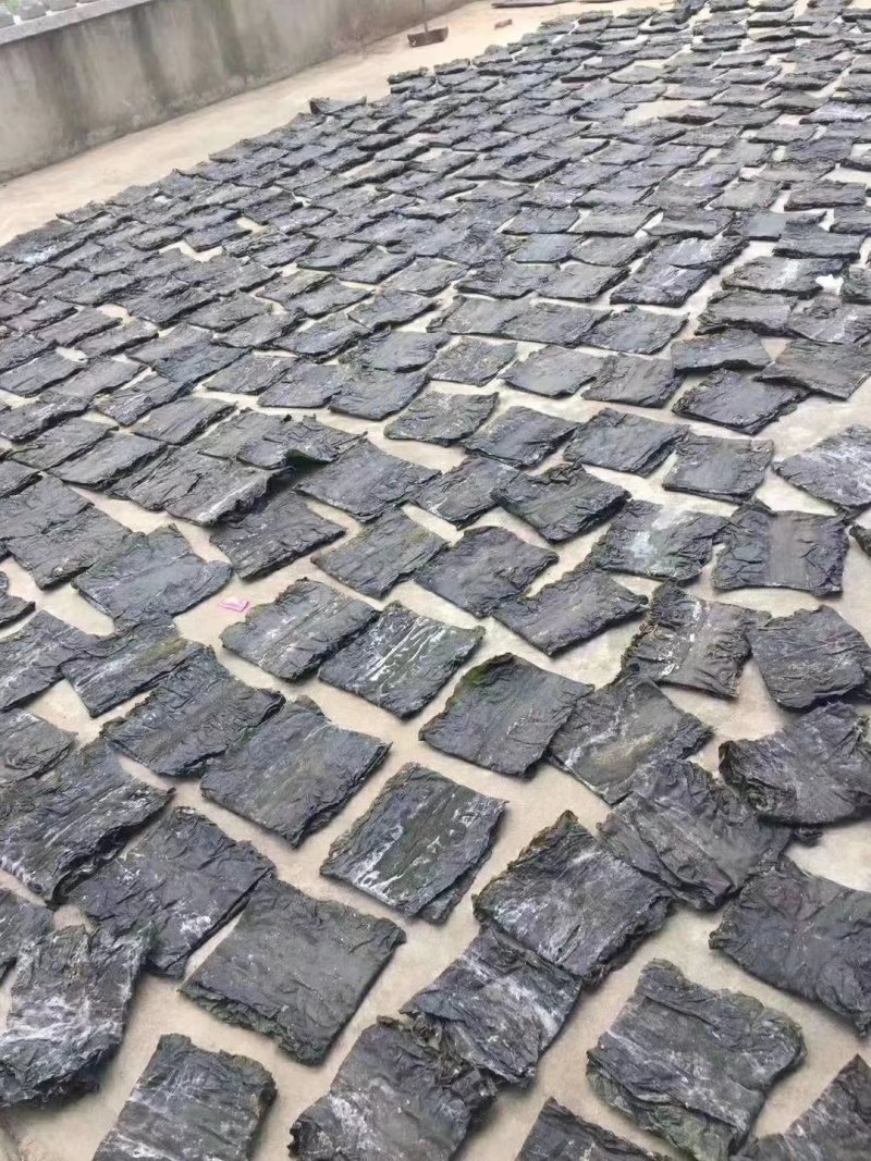 精装海带深海区海带海带丝海带头
