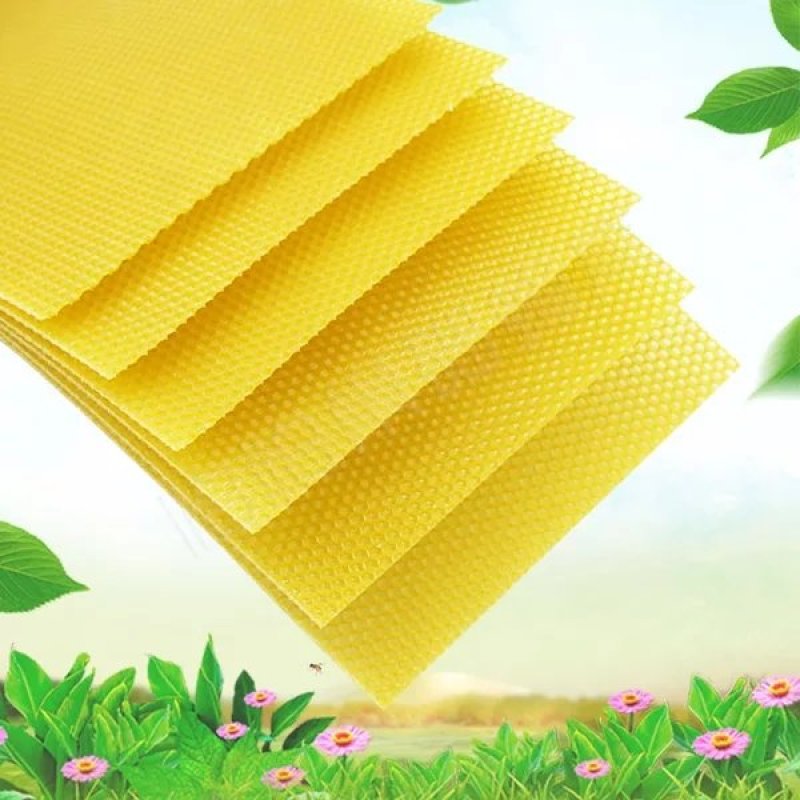 中蜂巢础怕怕蜜蜂深房巢础片蜂蜡巢脾中峰巢皮全套养蜂工具