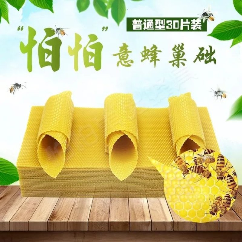 中蜂巢础怕怕蜜蜂深房巢础片蜂蜡巢脾中峰巢皮全套养蜂工具