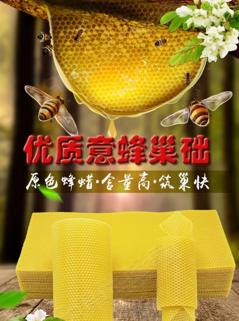 中蜂巢础怕怕蜜蜂深房巢础片蜂蜡巢脾中峰巢皮全套养蜂工具