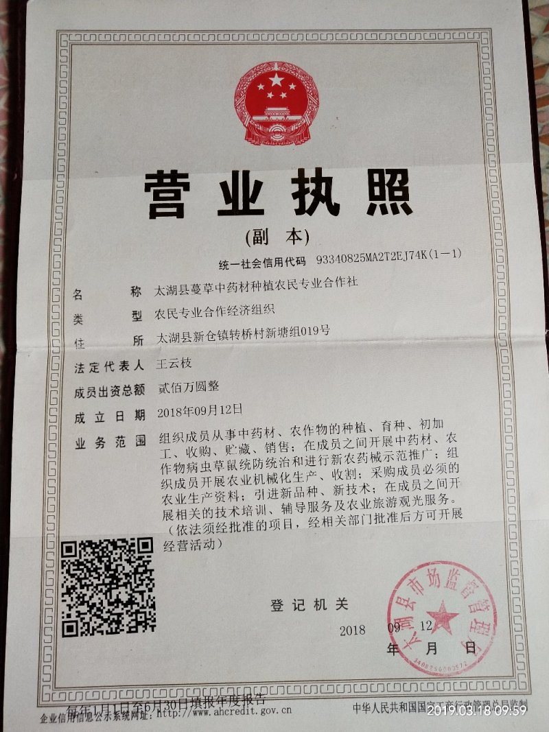 夏天无