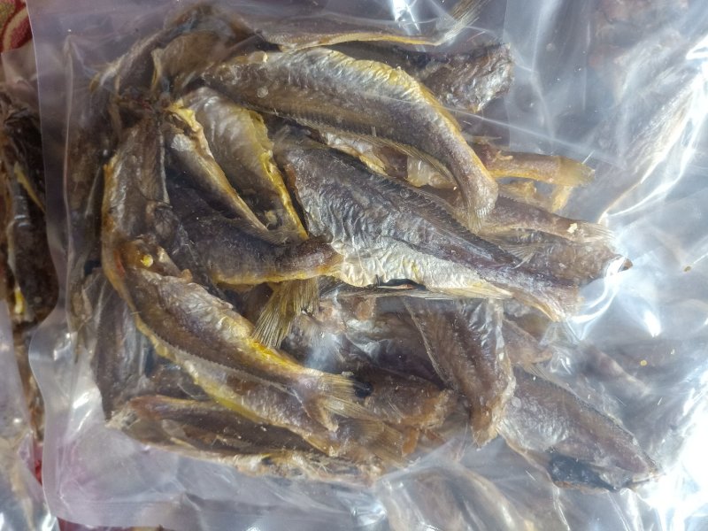 烘干小黄花鱼