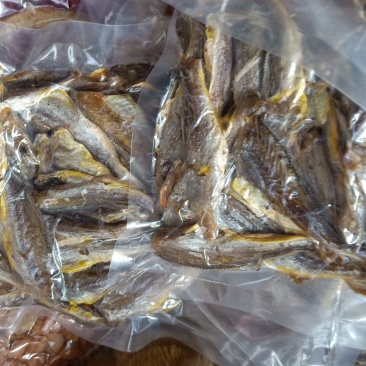 烘干小黄花鱼