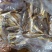 烘干小黄花鱼