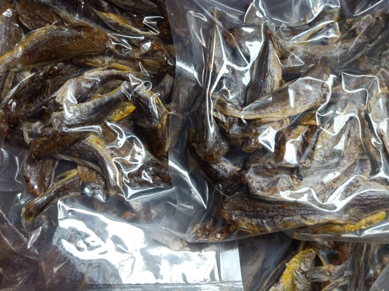 烘干无盐海米，鱿鱼丝，小黄花鱼，