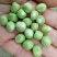 河南南阳豌豆荚饱满、无斑，量大从优，豌豆荚6～8厘米