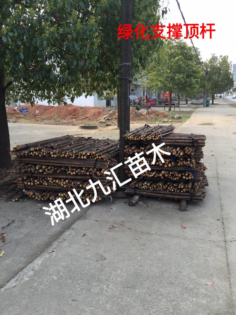杉木绿化顶杆绿化支撑木棒