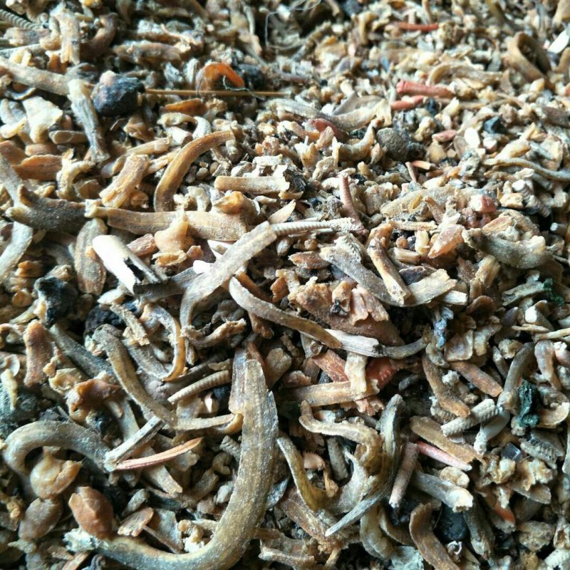 批发零售各种饲料原料：进口鱼粉，国产优质鱼粉，虾糠，