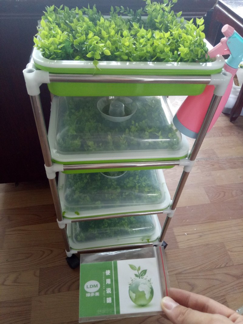 家庭芽苗菜套装