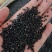 水红花子药用红花子无硫冷背中药材批发零售各种规格中药材