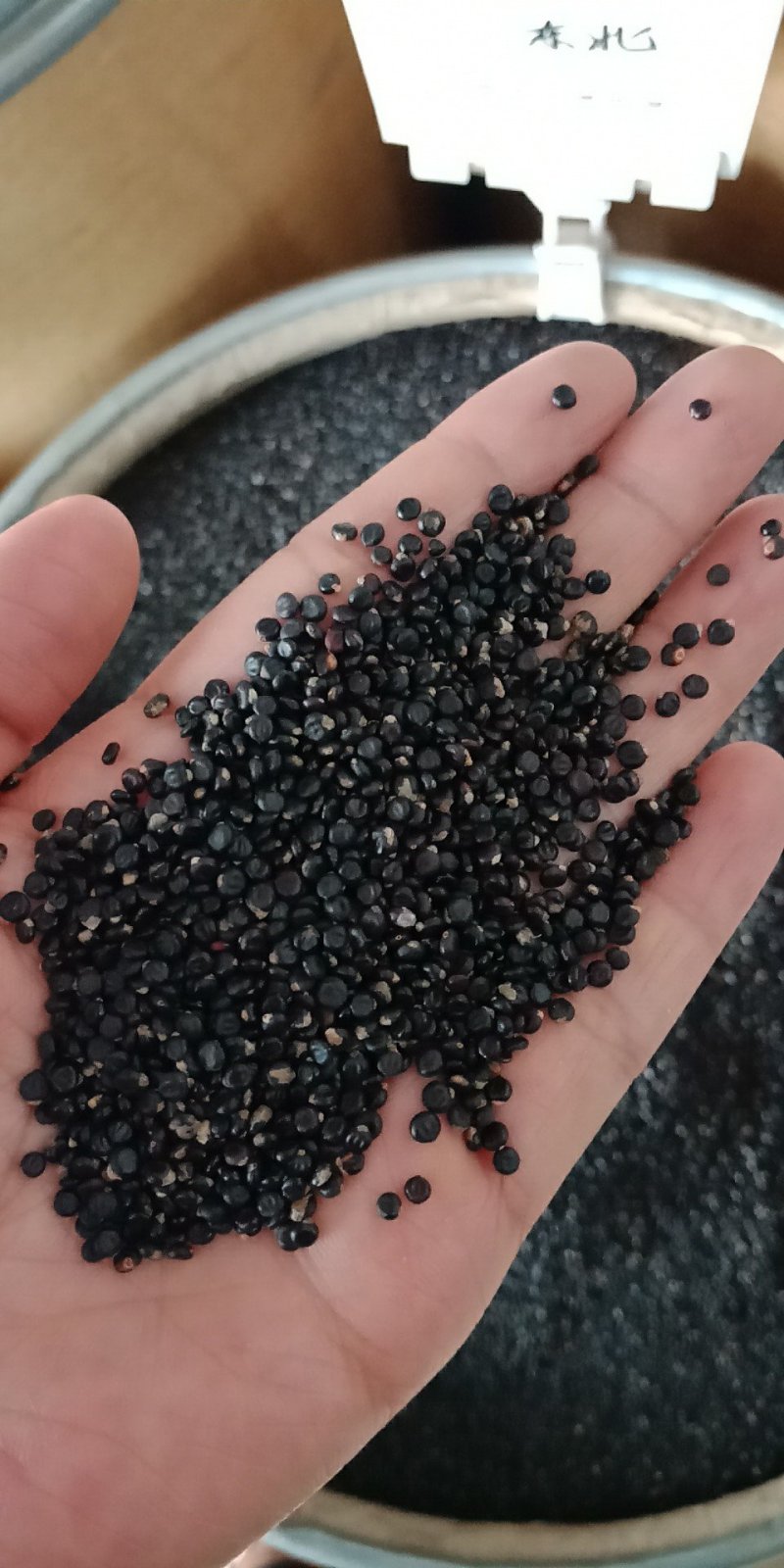 水红花子药用红花子无硫冷背中药材批发零售各种规格中药材