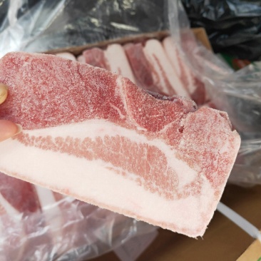 冻猪肉把子肉