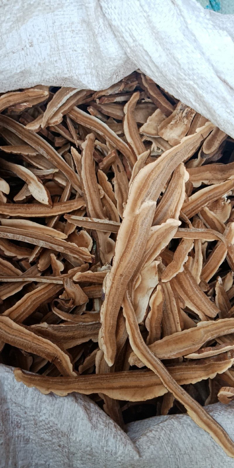 灵芝片家种红灵芝片包邮批发零售各种批发零售各种规格中药材
