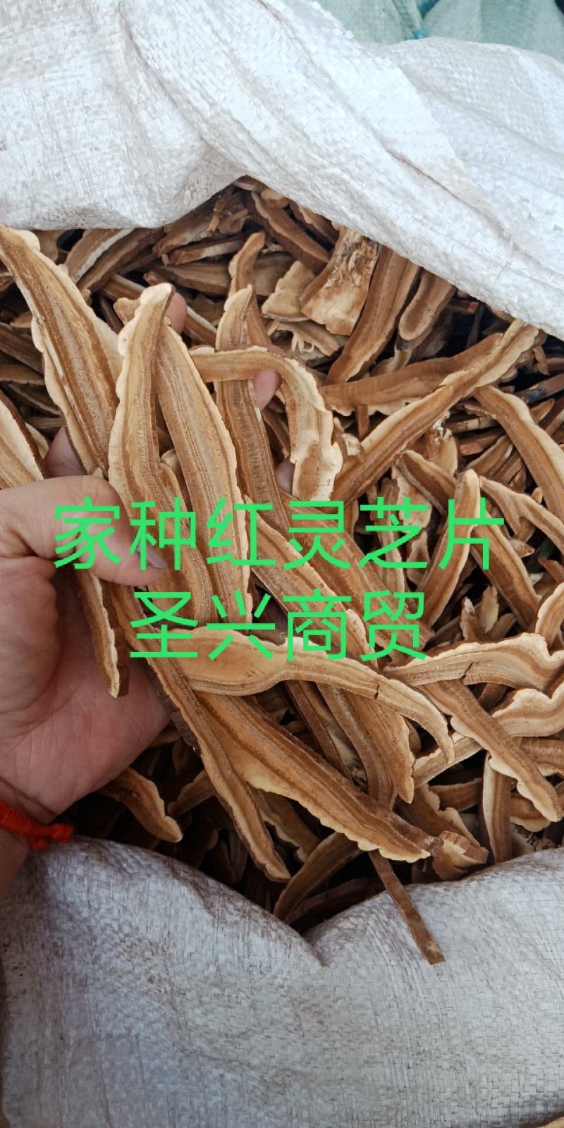 灵芝片家种红灵芝片包邮批发零售各种批发零售各种规格中药材