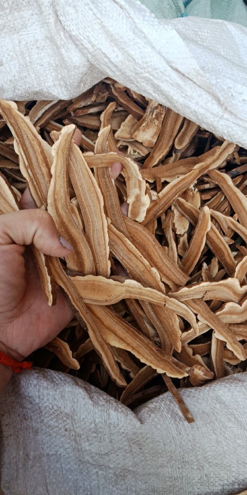灵芝片家种红灵芝片包邮批发零售各种批发零售各种规格中药材