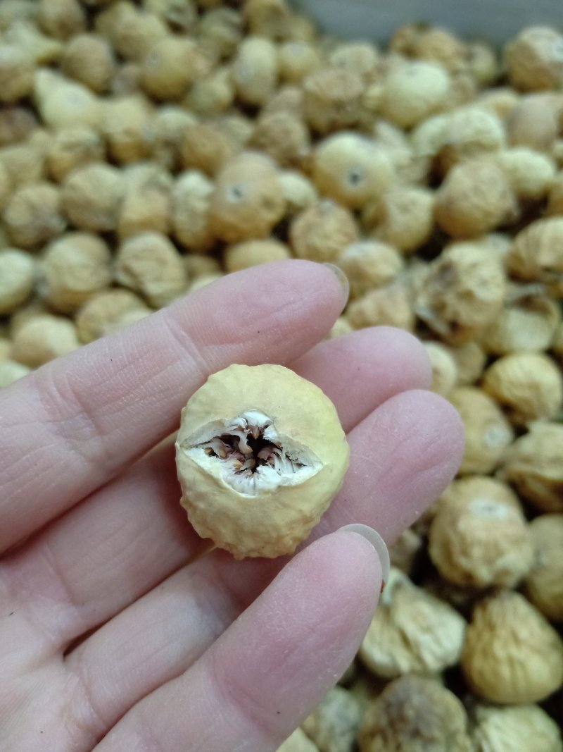 新疆沙漠的糖包子无花果干