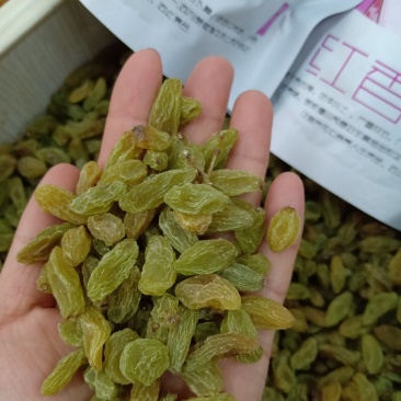 吐鲁番的绿宝石葡萄干
