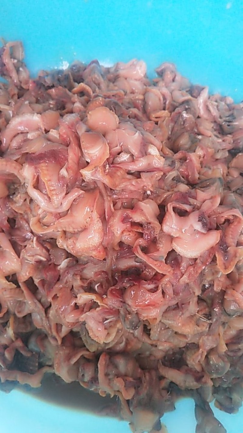赤贝边