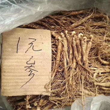 【荐】新鲜人参长白山带土人参新鲜到家全国包邮