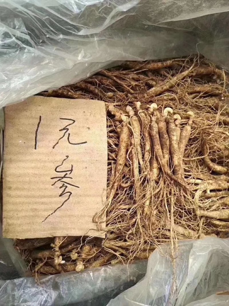 【荐】新鲜人参长白山带土人参新鲜到家全国包邮