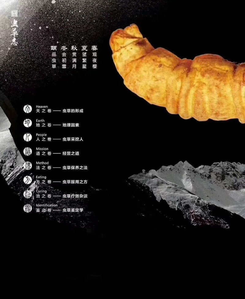 冬虫夏草