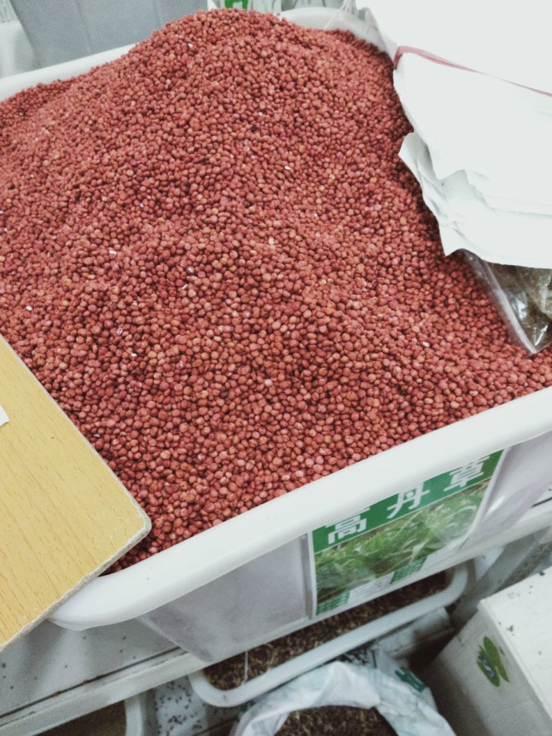 高丹草种子猪牛羊鱼高产牧草亩用量6-8斤包邮