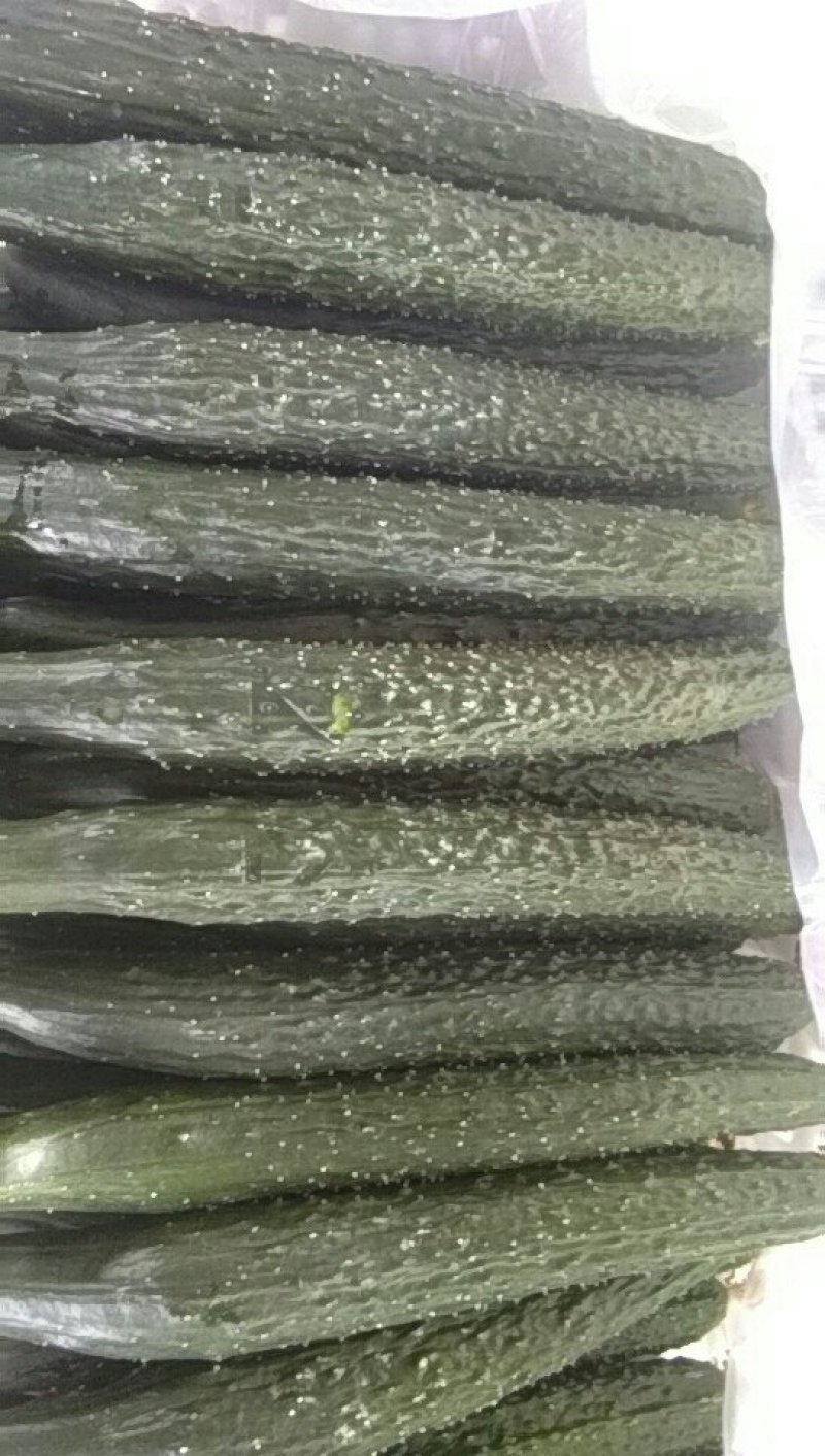大量黄瓜