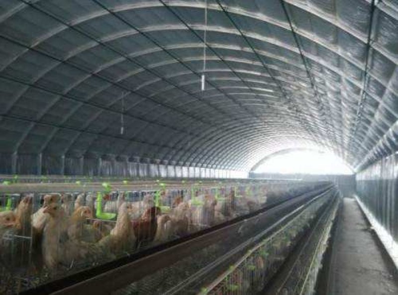 商丘养牛大棚养羊大棚养猪大棚养鹅大棚养兔大棚
