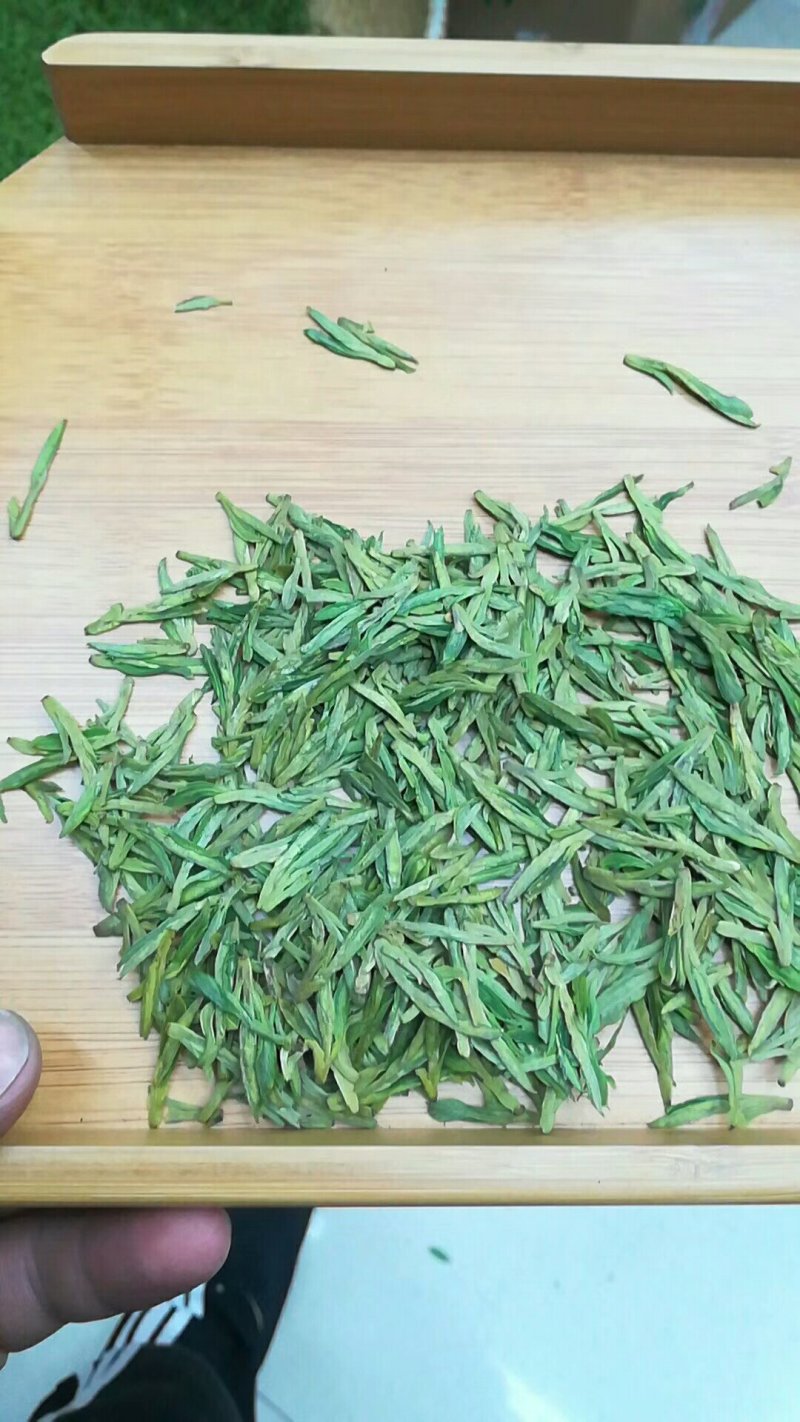 龙井茶富阳龙井