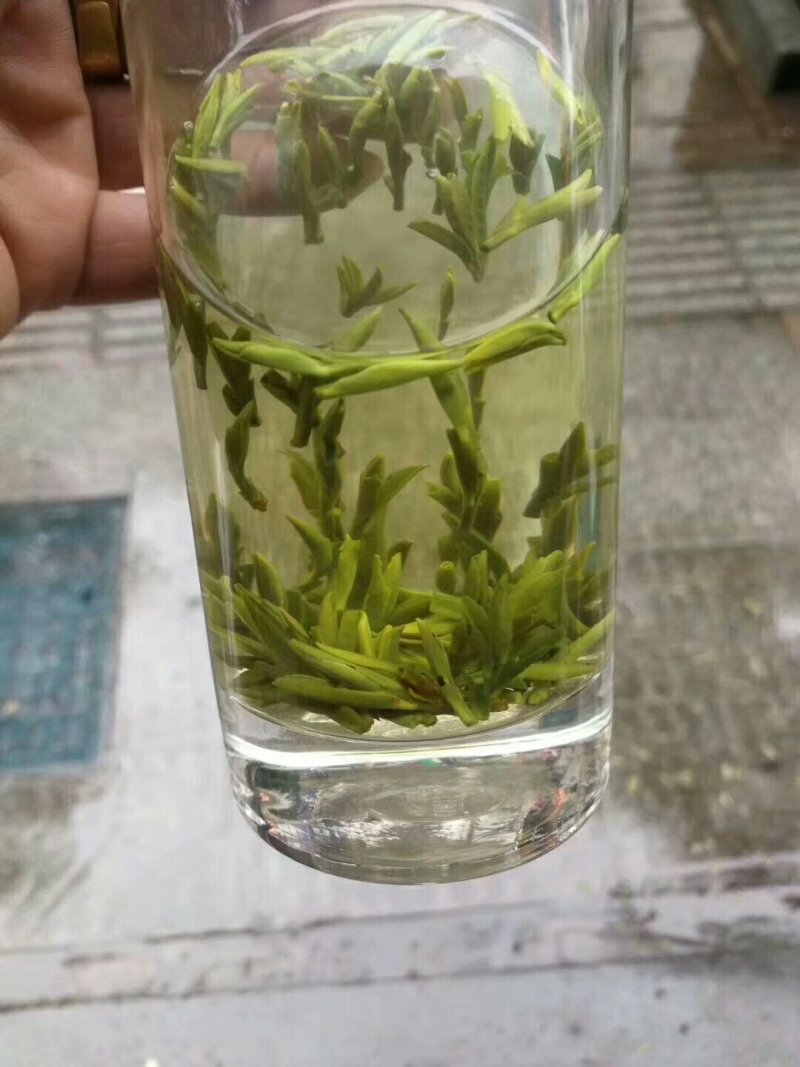 龙井茶富阳龙井