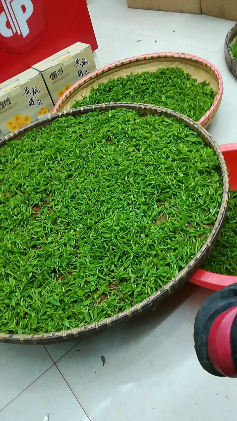 龙井茶富阳龙井